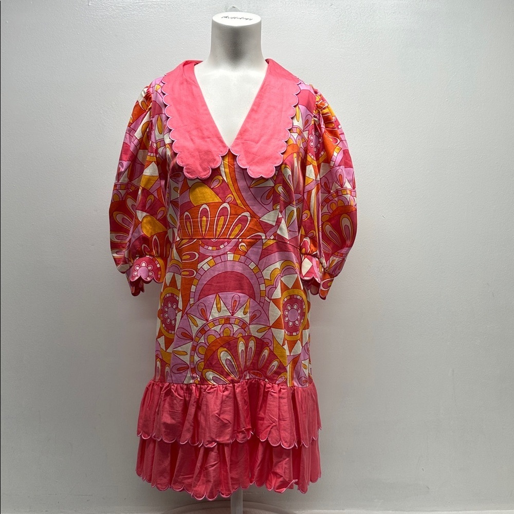 Alden Adair Piper Dress Groovy Baby Scalloped Collar Retro Paisley Pink Medium - Picture 2 of 11